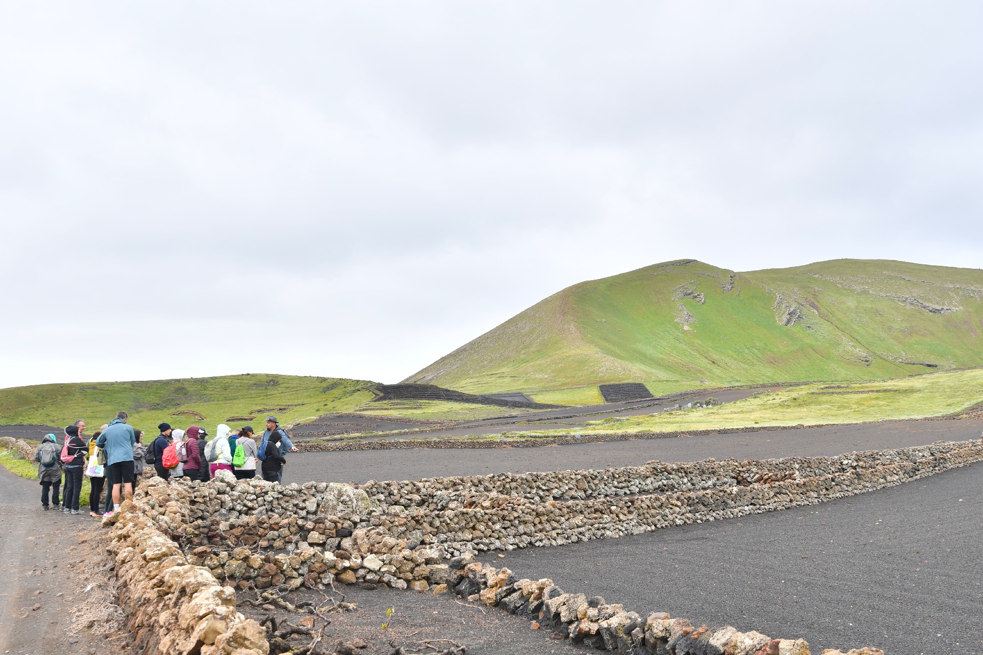 Ruta Bodega Erupción - Sendero (25)