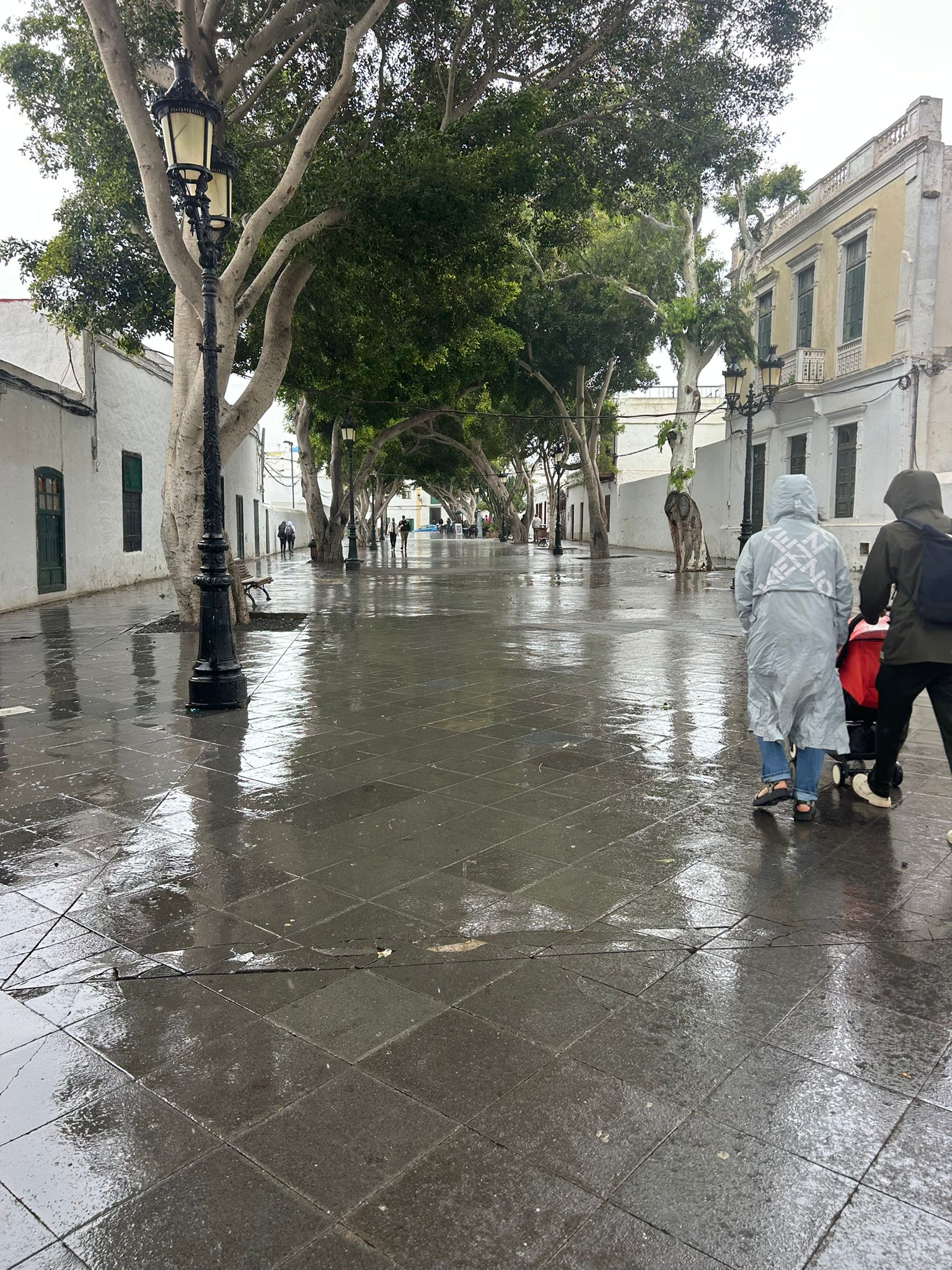 Lluvia en Haría, foto por Jesús Perdomo