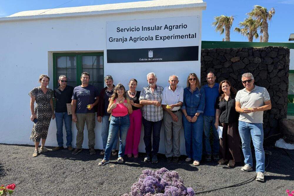 Asociación de Apicultores de Lanzarote