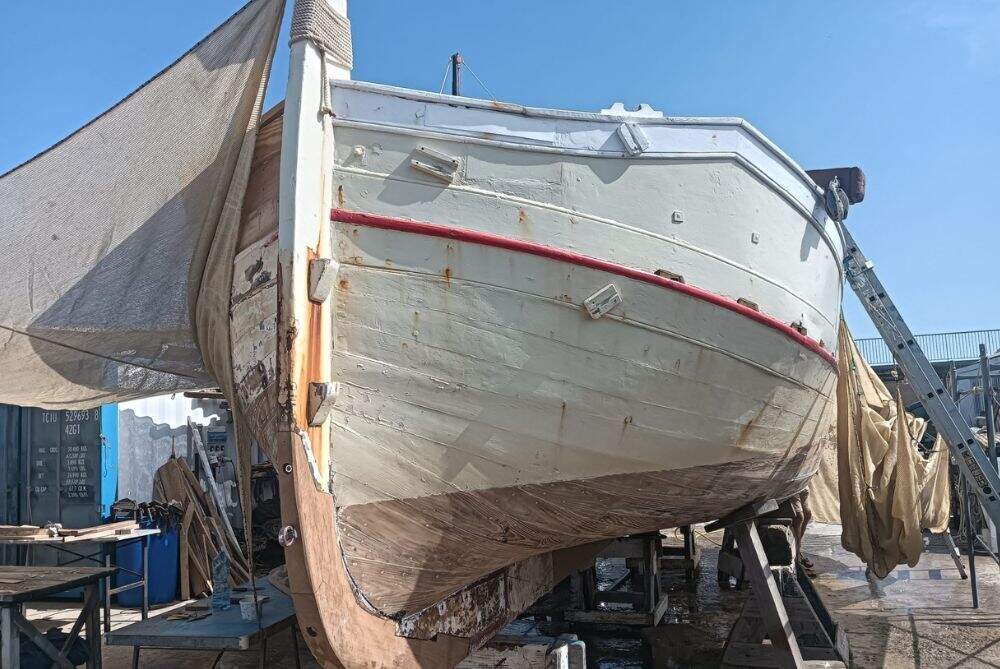 Barco  Odina